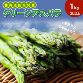 【ふるさと納税】春採りグリーンアスパラ 1kg 2L以上 佐呂間町産【 ふるさと納税 人気 おすすめ ランキング 野菜 アスパラ アスパラガス グリーン とれたて 新鮮 北海道 佐呂間町 送料無料 】 SRMM033