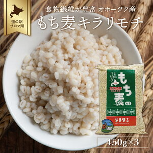 yӂ邳Ɣ[ŁzH@ۂLx Iz[cNY  uL`v450g×3 y ӂ邳Ɣ[ lC  LO   唞  ݔ ` M H@ ͂ kC