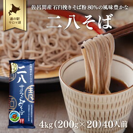 【ふるさと納税】二八そば 4kg（200g×20） 40人前 佐呂間産 【 ふるさと納税 人気 おすすめ ランキング 加工食品 麺類 そば 蕎麦 ソバ 二八そば 二八ソバ 二八蕎麦 北海道 佐呂間町 送料無料 】 SRMI024