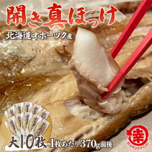 yӂ邳Ɣ[Łzق̊J 10i370gOj Iz[cNY ^ق y ӂ邳Ɣ[ lC  LO ق zbP JzbP J ^zbP  ق Mtg v