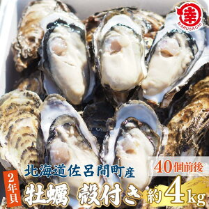 yӂ邳Ɣ[Łzys\zy10{珇zJL kt 2NL 4kgi40Oj CԎY y ӂ邳Ɣ[ lC  LO y JL  L yL kt Mtg 