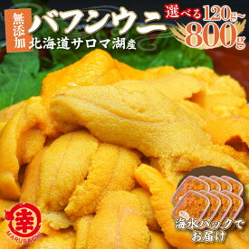 【ふるさと納税】【先行予約】サロマ湖産 無添加 バフンウニ 選べる 120g ～ 800g 海水パック（2026年4月以降順次発送予定）【 ふるさと納税 人気 おすすめ ランキング 魚介類 うに 雲丹 ウニ 海鮮丼 ウニ丼 新鮮 オホーツク 北海道 佐呂間町 送料無料 】 SRMA021
