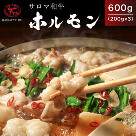 【ふるさと納税】サロマ和牛 ホルモン 600g（200g×3） 【 ふるさと納税 人気 おすすめ ランキング 肉 牛肉 牛モツ 和牛 ブランド牛 牛ホルモン サロマ和牛 美味しい 北海道 佐呂間町 送料無料 】 SRMD009