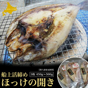 yӂ邳Ɣ[ŁzD㊈ ق̊J 3 450g`500g y ӂ邳Ɣ[ lC  LO   ق zbP J ق̊J zbP̊J VN kC CԒ 