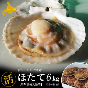 yӂ邳Ɣ[ŁzIz[cNY 傫ȁwx ق 6kgi32`46jy ӂ邳Ɣ[ lC  LO  L  z^e z^e L z^eL قĊL kC