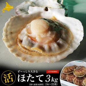yӂ邳Ɣ[Łzy12zIz[cNY 傫ȁwx ق 3kgi16`22j y ӂ邳Ɣ[ lC  LO  L ق z^e  L z^eL 