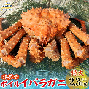 yӂ邳Ɣ[ŁzCoKj 2.3Lȏ y ӂ邳Ɣ[ lC  LO  CoKj  Jj I ΂炪 I  傫 W{ rbO kC CԒ 