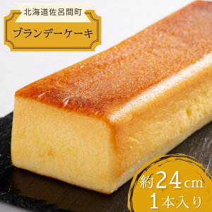 yӂ邳Ɣ[Łz Ƃ荁lXC[c uf[P[L 24cm×1{ y ӂ邳Ɣ[ lC  LO َq P[L uf[P[L uf[ XC[c l Â  