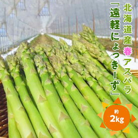 【ふるさと納税】 2026年 春アスパラ2kg ( ふるさと納税 アスパラガス グリーンアスパラ 野菜 健康食材 天ぷら 炒め物 パスタ サラダ 大容量 北海道 遠軽町 えんゆう農業協同組合 ) en01-00003