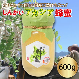 【ふるさと納税】国産天然 しんかいアカシア蜂蜜（600g) ハチミツ はちみつ 北海道 遠軽町 en01-00160