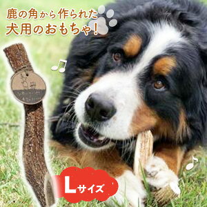 yӂ邳Ɣ[ŁzVĴƂ L~̂́iLTCYj en01-00165