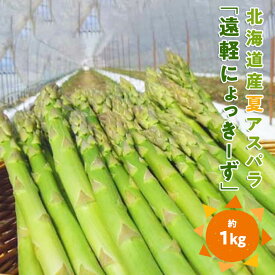【ふるさと納税】 2025年夏アスパラ1kg ( ふるさと納税 アスパラガス グリーンアスパラ 野菜 健康食材 天ぷら 炒め物 パスタ サラダ 大容量 北海道 遠軽町 えんゆう農業協同組合 ) en01-00006