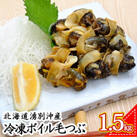 楽天市場 ふるさと納税 つぶ貝 貝類 魚介類 水産加工品 食品の通販 楽天市場 ふるさと納税 つぶ貝 貝類 魚介類 水産加工品 食品の通販