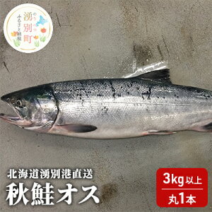 yӂ邳Ɣ[Łzyg勁ށzs\ kC Nʍ` H IX 3kgȏi1{j[ws   TP CN  Y  ① Yn Iz[cN L T[ @