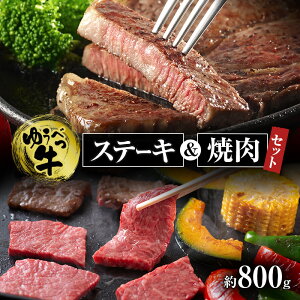 yӂ邳Ɣ[ŁzkCY 䂤ׂ Xe[LEĂZbg B 800g Ԑg  Ⓚ Nʋ Ⓚ Y `q Iz[cN  ē o[xL[