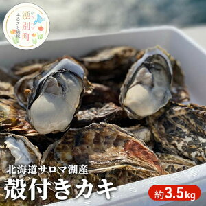 yӂ邳Ɣ[Łzyg勁ށzs\ kC T}ΎY JL 3.5kg y  CN  Y kt Lt y H Ăy y ① Yn Iz[cN Lށ@