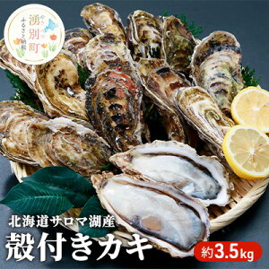 yӂ邳Ɣ[Łzyg勁ށz s\ kC T}ΎY JL 3.5kg y CN  Y kt Lt H Ăy y ① Yn Iz[cN L y  