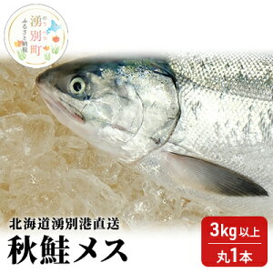yӂ邳Ɣ[Łzyg勁ށzs\ kC Nʍ` H X 3kgȏi1{j[ws  TP  ؎q Y  ① L T[ CN @͂F2025N9