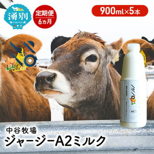 yӂ邳Ɣ[Łzy6JցzJq W[W[ A2~N 900ml×5{ W[W[ ₳ Y Iz[cN kC  kCY W[W[ ݕ H  q̃~N q