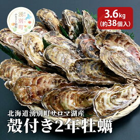 【ふるさと納税】北海道 湧別町 サロマ湖産　殻付き2年 牡蠣 3.6kg(約38個入) カキ 魚貝類 生牡蠣 海鮮 国産 海のミルク 海の幸 身入りが良い つまみ 肴 あて北海道産 生食可 生食 牡蠣ナイフ付き 　お届け：2025年11月中旬～2026年2月中旬頃まで