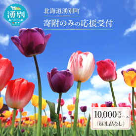 【ふるさと納税】北海道湧別町 寄附のみの応援受付 10,000円コース（返礼品なし 寄附のみ 10000円）