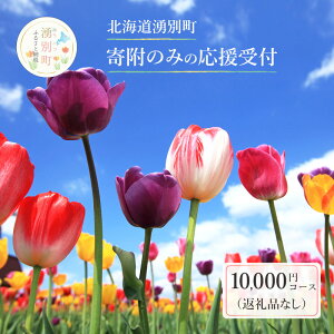 yӂ邳Ɣ[ŁzkCNʒ 񕍂݂̂̉t 10,000~R[XiԗiȂ 񕍂̂ 10000~j