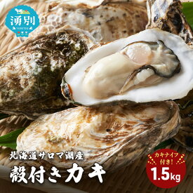 【ふるさと納税】北海道 サロマ湖産 殻付き カキ 1.5kg カキナイフ付 牡蠣 海鮮 魚介 国産 貝付き 生牡蠣 生食 焼き牡蠣 蒸し牡蠣 　お届け：2025年11月15日～2026年1月15日まで