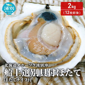 �y�ӂ邳�Ɣ[�Łz�k�C�� �I�z�[�c�N �N�ʉ� �D�� �I�� �L�t �ق��� 2kg�i12���O��j�z�^�e�i�C�t�t ���� �h�g �C�N ���� ���Y �k�t�� �① �T���}�� ���L�� ������ ���h�g ���H�@���͂��F2026�N