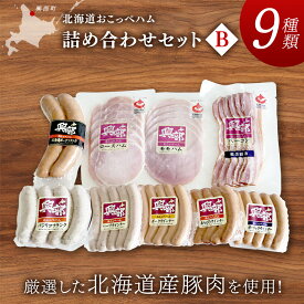 【ふるさと納税】【北海道おこっぺハム】詰め合わせセットB【15001BA0101】