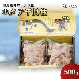 【ふるさと納税】ホタテ干貝柱500g 品質1等SA粒 北海道オホーツク産【21039】