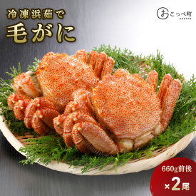 【ふるさと納税】【 大きいサイズ 660g前後 】 冷凍浜茹で毛がに『2尾セット』【21033】