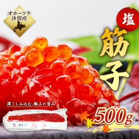 【ふるさと納税】おこっぺの塩筋子500g【21020】