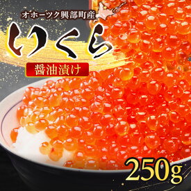 【ふるさと納税】おこっぺのいくら醤油250g【21015AA0101】