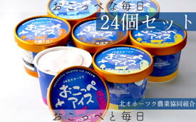 【ふるさと納税】おこっぺアイス24個セット