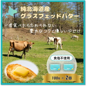 yӂ邳Ɣ[ŁzkCYOXtFbho^[Hsgpl200gyzsnFzy1565328z