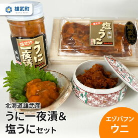 【ふるさと納税】オホーツク産 北海道 天然 うに セット 一夜漬 80g 塩うに 100g 冷凍 エゾバフンウニ ウニ ふるさと納税 海鮮 魚介 雄武 雄武町【01114】