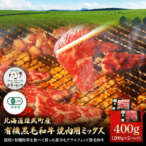 �y�ӂ邳�Ɣ[�Łz�k�C���Y�����Y �L�@���јa�� �ē��p�~�b�N�X 400g�i200gx2P�j | ���� �a�� �L�@�� �I�[�K�j�b�N �O���X�t�F�b�h �J���[�r�[�t �o�[�x�L���[ BBQ �Ԑg �� �|�� �q�� ���q ���S ��