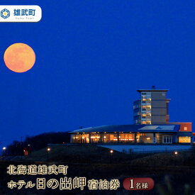 【ふるさと納税】北海道雄武町ホテル日の出岬宿泊券（1名様）【0610502】