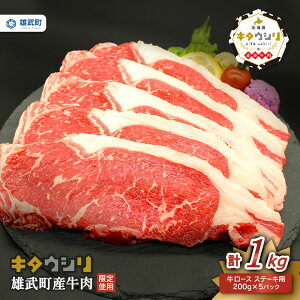 yӂ邳Ɣ[ŁzkCY  Ⓚ 1kg [X 200g × 5 Y q Xe[L kC  ӂ邳Ɣ[ Y Yy0911901z