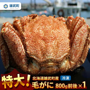 yӂ邳Ɣ[ŁzIz[cNY  уKj Ⓚ 800g  I~\ ɂ݂ Ă ɓ kC ӂ邳Ɣ[ Y Yy12404z