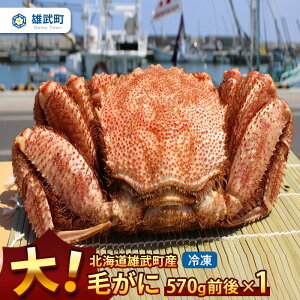 yӂ邳Ɣ[ŁzIz[cNY  уKj Ⓚ 570g  I~\ ɂ݂ Ă ɓ kC ӂ邳Ɣ[ Y Yy12402z