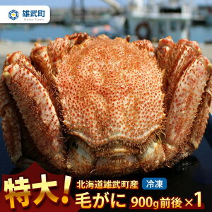 yӂ邳Ɣ[Łzт900gO×1iⓀj Iz[cNY Iz[cN т уKj ъI I Jj 900g 1 ɂ݂ Jj݂ ɖX Z CY CN  Ⓚ ӂ邳Ɣ[ kC