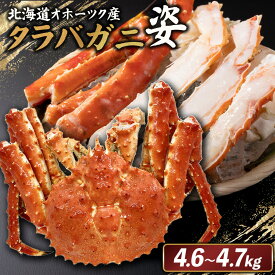 【ふるさと納税】北海道オホーツク産 冷タラバガニ姿　4.6～4.7kg | 北海道産 オホーツク産 オホーツク オホーツク産 オホーツク海産 タラバガニ タラバ カニ かに 蟹 冷凍 ギフト 贈り物 お取り寄せ 北海道 雄武町 雄武【12413】