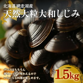 【ふるさと納税】 厳選！網走湖産大粒天然大和しじみ1.5kg 【 ふるさと納税 人気 おすすめ ランキング しじみ シジミ 蜆 貝 しじみ貝 シジミ貝 蜆貝 海鮮 ダシ汁 味噌汁 1.5kg 新鮮 冷凍 料理 網走湖 北海道 大空町 送料無料 】 OSA010