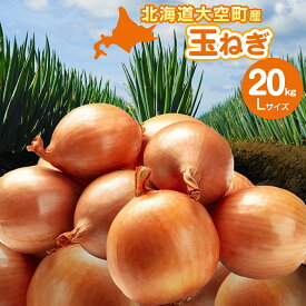 【ふるさと納税】【先行予約】玉ねぎ Lサイズ 20kg 大空町産（2025年10月上旬より発送） 【 ふるさと納税 人気 おすすめ ランキング たまねぎ 玉ねぎ タマネギ 20kg L サイズ バーベキュー オニオン サラダ 甘い カレー 北海道産 野菜 旬 北海道 大空町 送料無料 】 OSR009