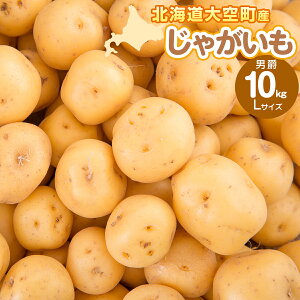 yӂ邳Ɣ[ŁzႪ(j) LTCY 10kg 󒬎Yy ӂ邳Ɣ[ lC  LO Ⴊ WKC   j 10kg L TCY J[ kCY  { kC  