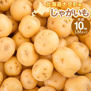 yӂ邳Ɣ[ŁzႪ(j) LMTCY 10kg 󒬎Yy ӂ邳Ɣ[ lC  LO Ⴊ WKC   j 10kg LM TCY J[ kCY  { kC 