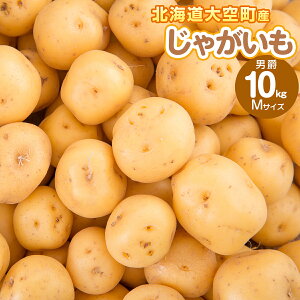 【ふるさと納税】じゃがいも(男爵) Mサイズ 10kg 大空町産【 ふるさと納税 人気 おすすめ ランキング じゃがいも ジャガイモ いも 芋 男爵 10kg M サイズ カレー 北海道産 野菜 旬 北海道 大空町