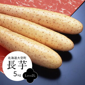 yӂ邳Ɣ[Łz5kgiL܂2Lj y ӂ邳Ɣ[ lC  LO Ȃ  Ȃ   kC   z OSM007