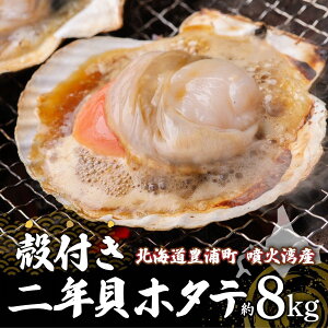 yӂ邳Ɣ[Łzys\zkC LY kt 2NL z^e Iׂ 3kg ` 8kgi2026N13菇jy ӂ邳Ɣ[ lC  LO  L  z^e 